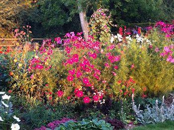Gunville House B&B Grateley Экстерьер фото